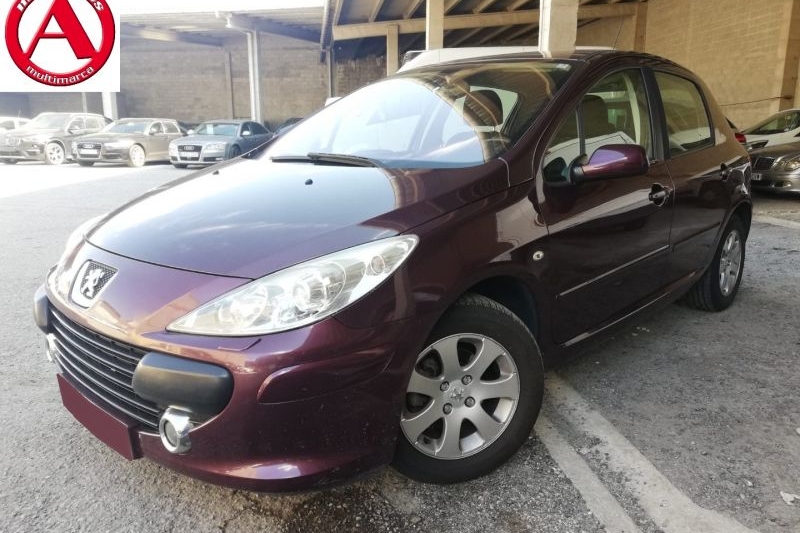 PEUGEOT 307 en Minoautos