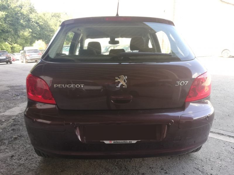 PEUGEOT 307 en Minoautos