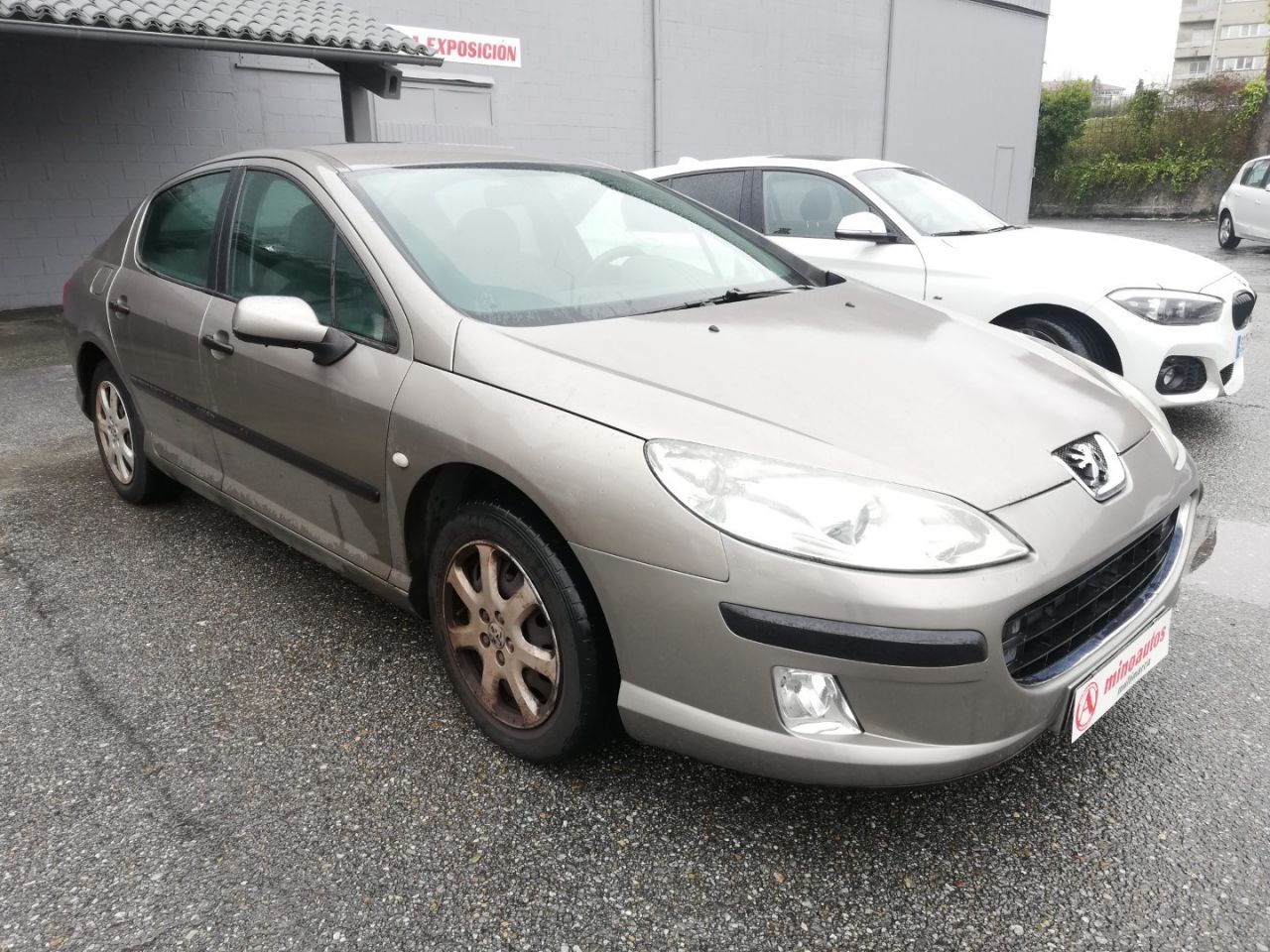 PEUGEOT 407 en Minoautos