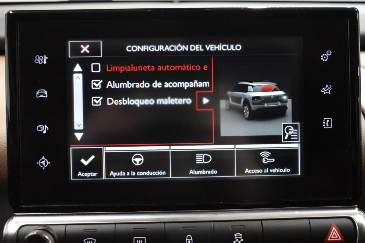 CITROEN C4 CACTUS en Minoautos